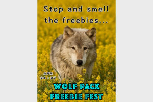 WP Freebie Fest
