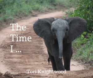 The Time I Elephant