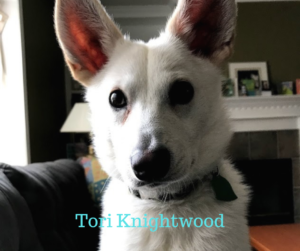 Puppy Update - Foxy Apr 2019