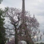 Paris Eiffel Tower flowers