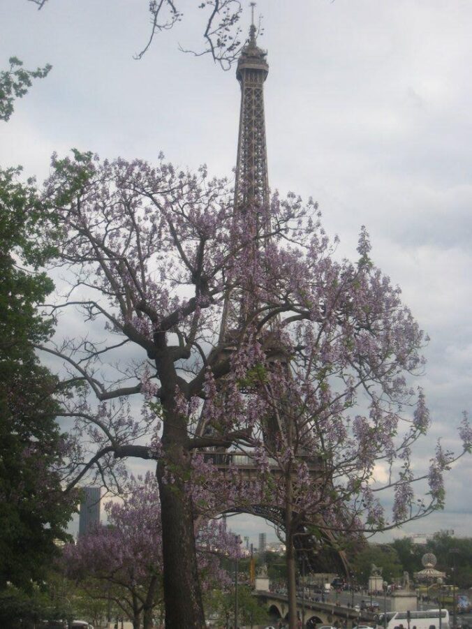 Paris Eiffel Tower flowers